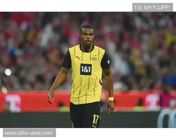 多特蒙德与汉堡上半场战成平局丘库埃梅卡错失良机卡帕尔多射门中柱