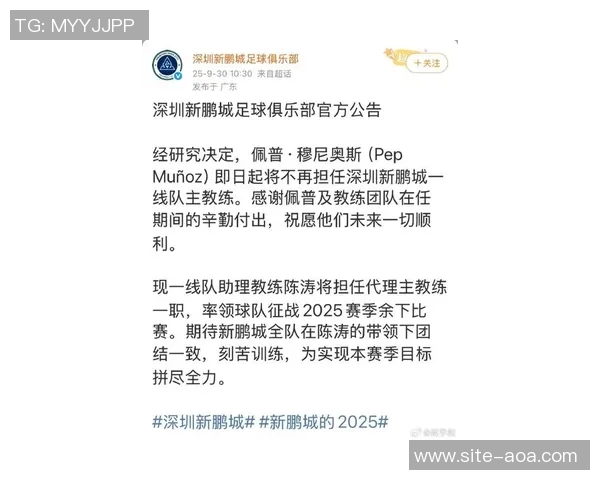 深圳新鹏城与北京国安第27轮联赛比赛时间及地点调整公告